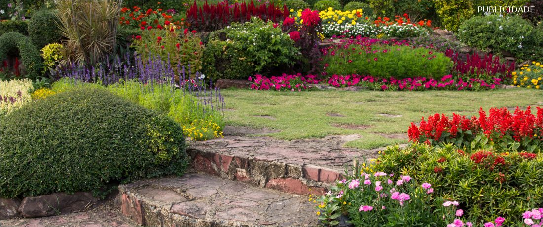 Curso on-line de Jardinagem